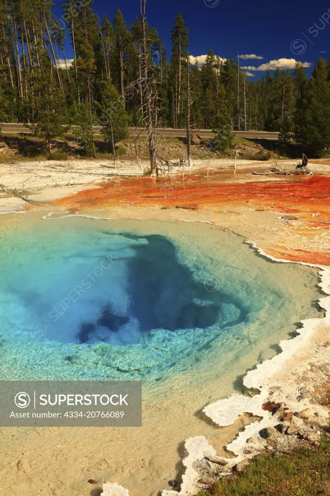 Brilliant Colors of the Fountain Paint Pot in the Lower Geyser Basin of Yellowstone  National Park in Wyoming - SuperStock
