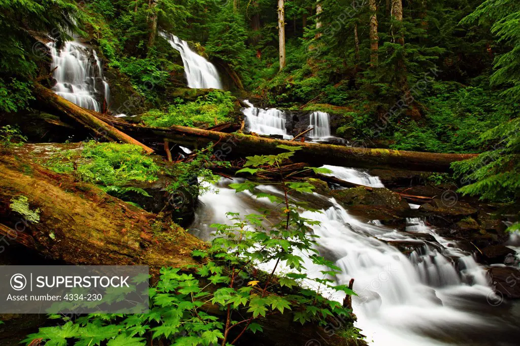 Waterfalls on Twentytwo Creek, in Mount Baker-Snoqualmie National Forest, Washington.