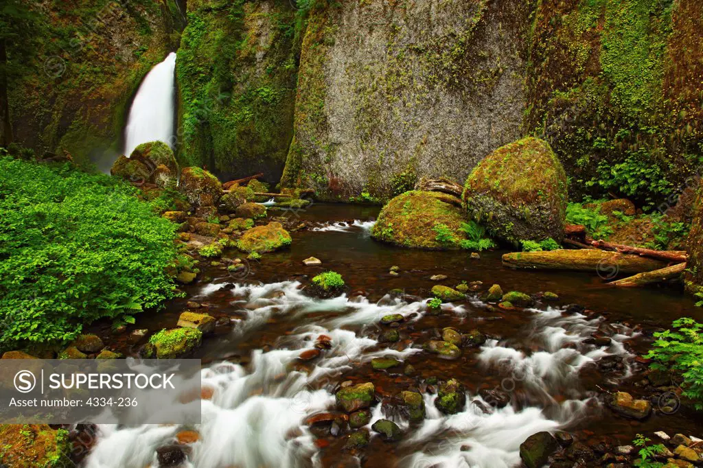 Wahclella Falls, in the Columbia River Gorge National Scenic Area, Oregon.