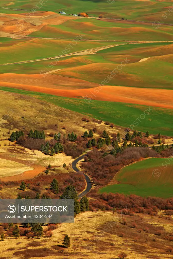 A view of the Palouse Hills from Steptoe Butte, Steptoe Butte State Park, Washington.