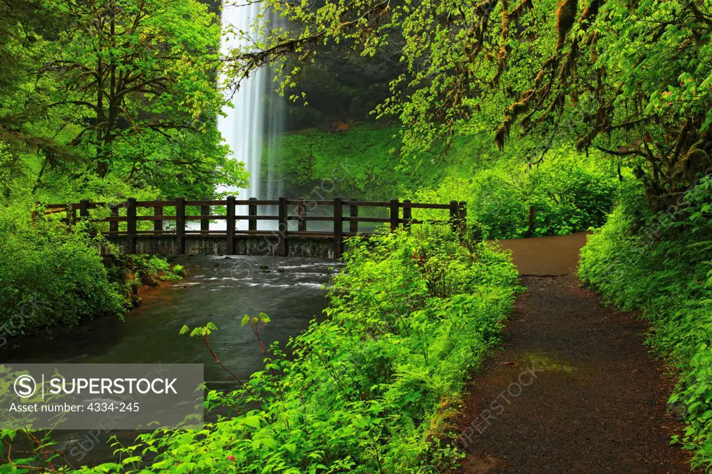 South Falls and a bridge, at Silver Falls State Park, Oregon.