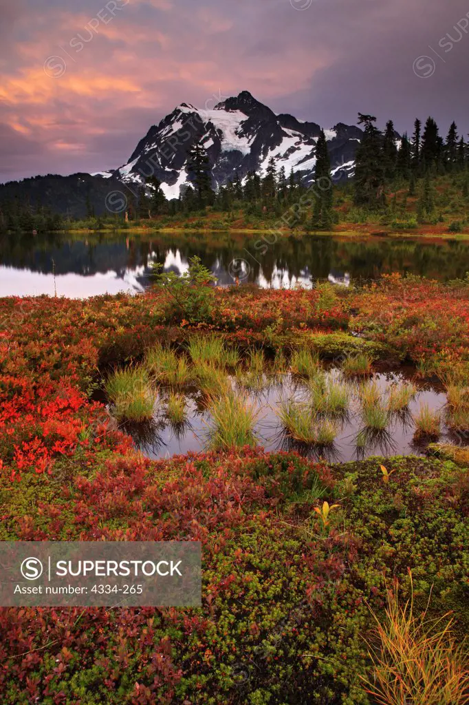 Mount Shuksan reflected in Picture Lake, surrounded by heather meadows at sunset, Mount Baker National Recreation Area, Washington.