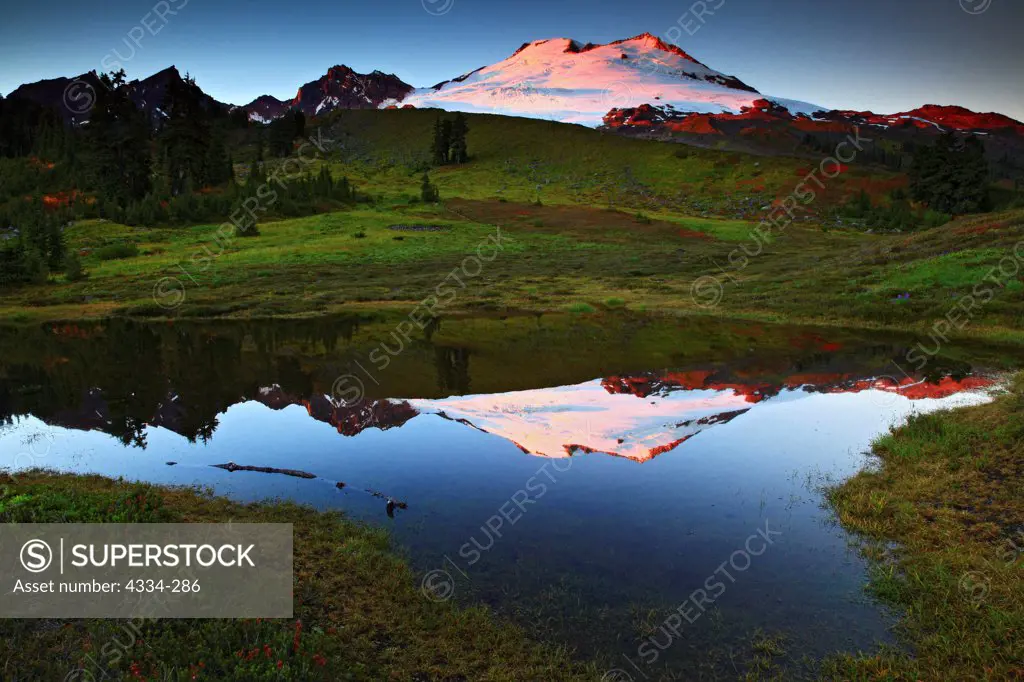 Sunset on Mount Baker, mirrored in a still tarn in an alpine meadow, on the south side of the mountain, Mount Baker National Recreation Area, Washington State.