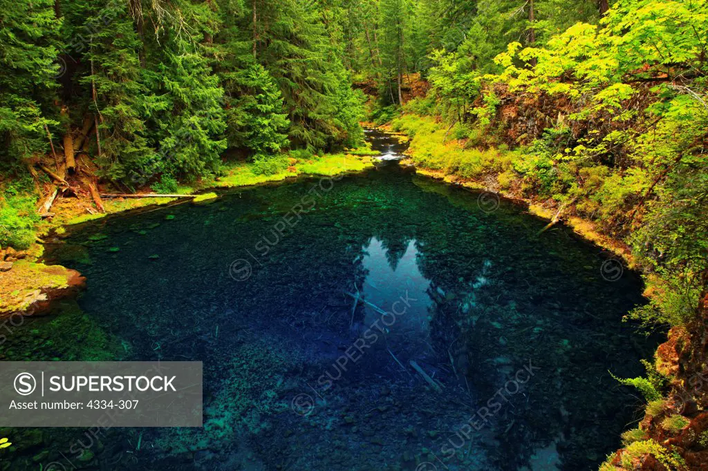 The Tamolitch Pool on the McKenzie River is a clear blue pool caused by an upwelling of the McKenzie's subterranean flow. The river was buried 1500 years ago by a lava flow from nearby Three Sisters.