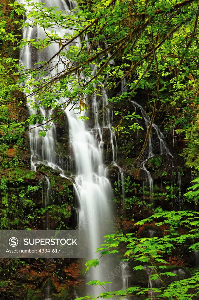 Feature Show Falls in the Boulder River Wilderness, Washington.