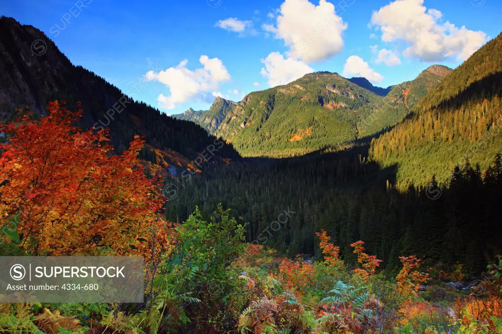Fall Color along Headlee Pass Trail in Mount Baker-Snoqualmie National Forest.
