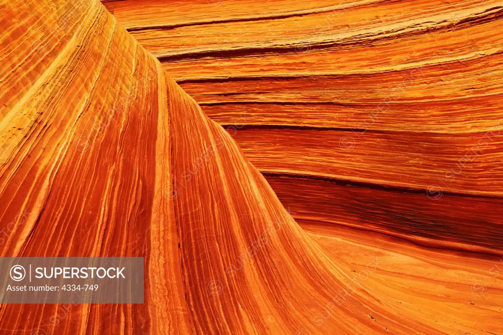 The Wave, Vermillion Cliffs, Arizona