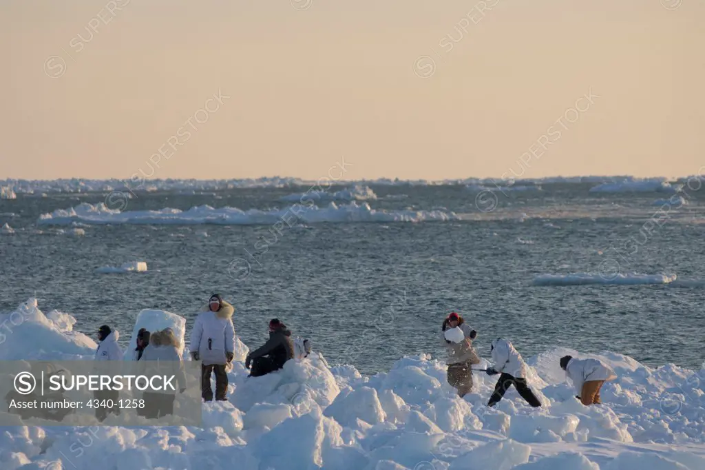 Inupiaq Subsistence Whalers Create a Ramp