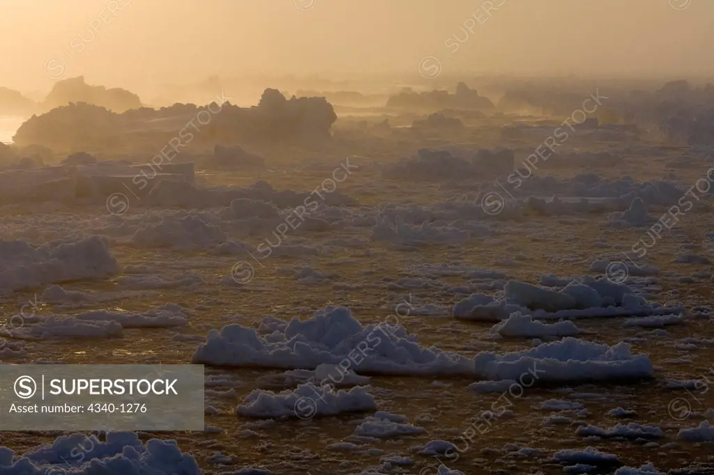Sea Ice Floating in the Chukchi Sea
