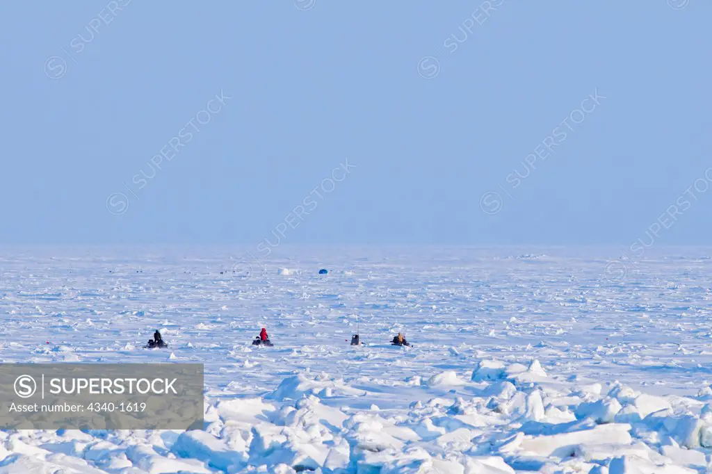 Scientists travel out onto the pack ice in the Chukchi Sea to conduct a bowhead whale (Balaena mysticetus) survey in Springtime, off the coast of Barrow, Alaska.  Researchers count passing migrating whales traveling through an open lead in the ice during their Spring migration.  The survey is conducted every 5 years.