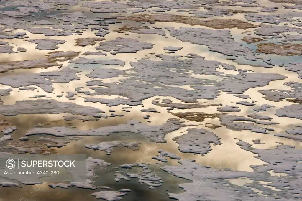 Summer Pack Ice on the Chukchi Sea