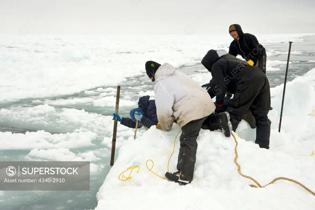 USA, Alaska, Inupiaq whalers breaking open hole in pack ice using harpoon