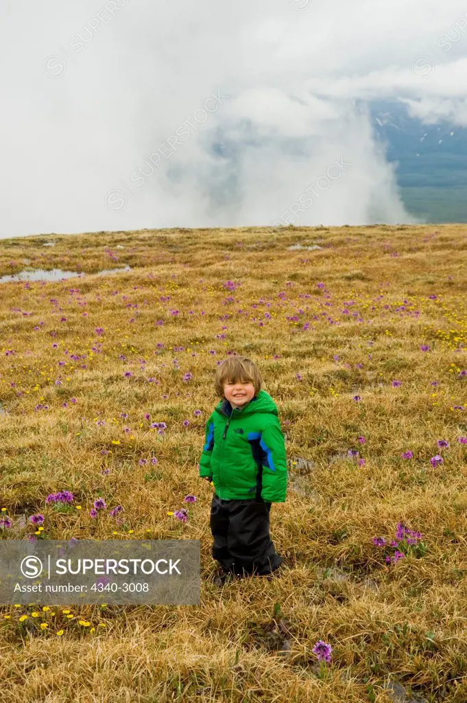 USA, Alaska, Denali National Park, Mount Margaret, Primrose Ridge, Toddler boy enjoying hike amid Chukchi primrose flowers (Primula Tschuktschorum) and blooming on Mount Margaret, spring