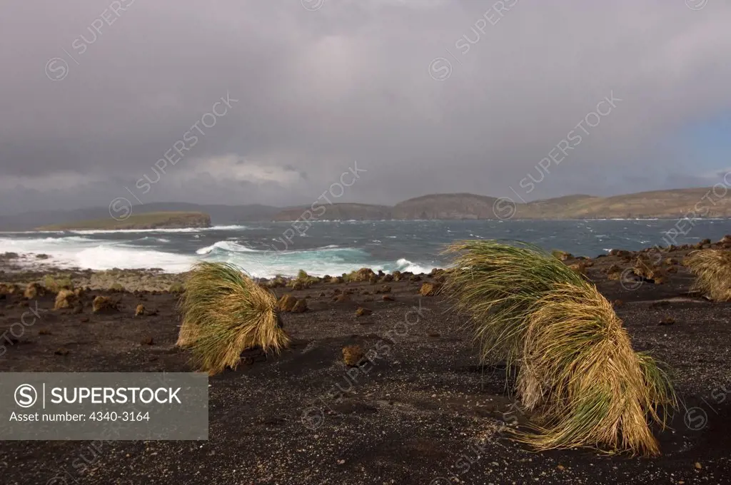 Falkland Islands, Beaver Island, Scenic landscape