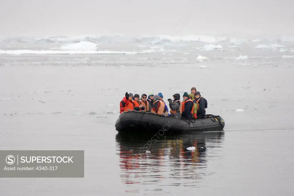 Tourists Travelling to Gentoo Penguin Colony