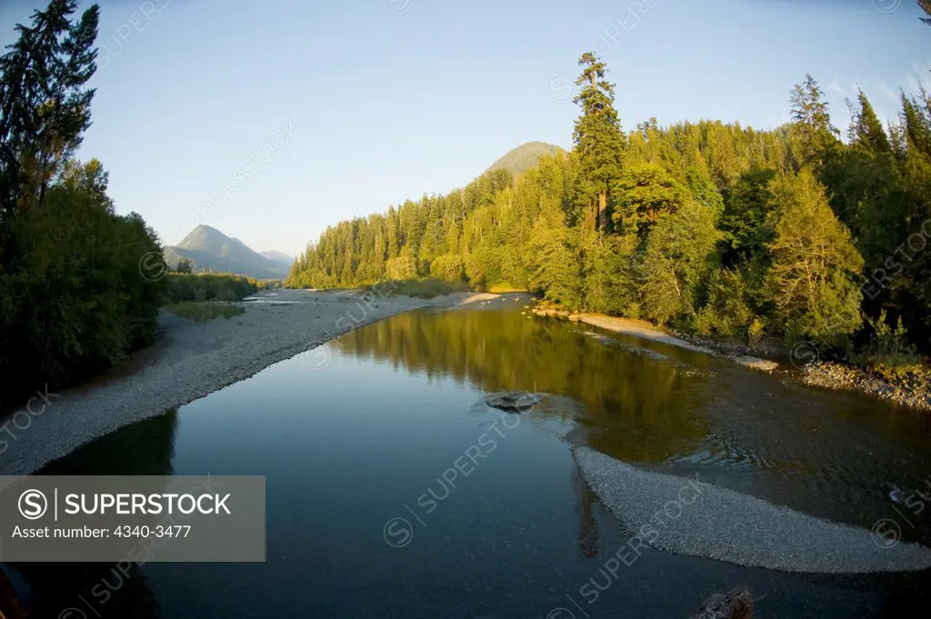 Reflection of trees on water, Quinault River, Olympic National Park, Olympic Peninsula, Washington State, USA