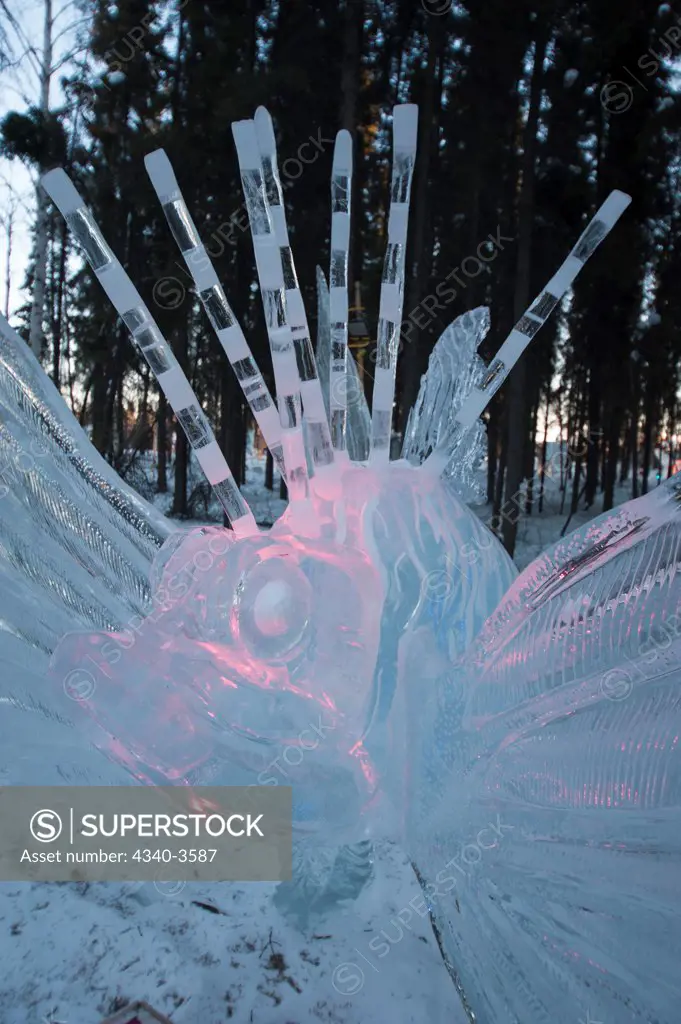 Alaska, Fairbanks, World Ice Art Championships, Spiny fish ice carving on display, 2013