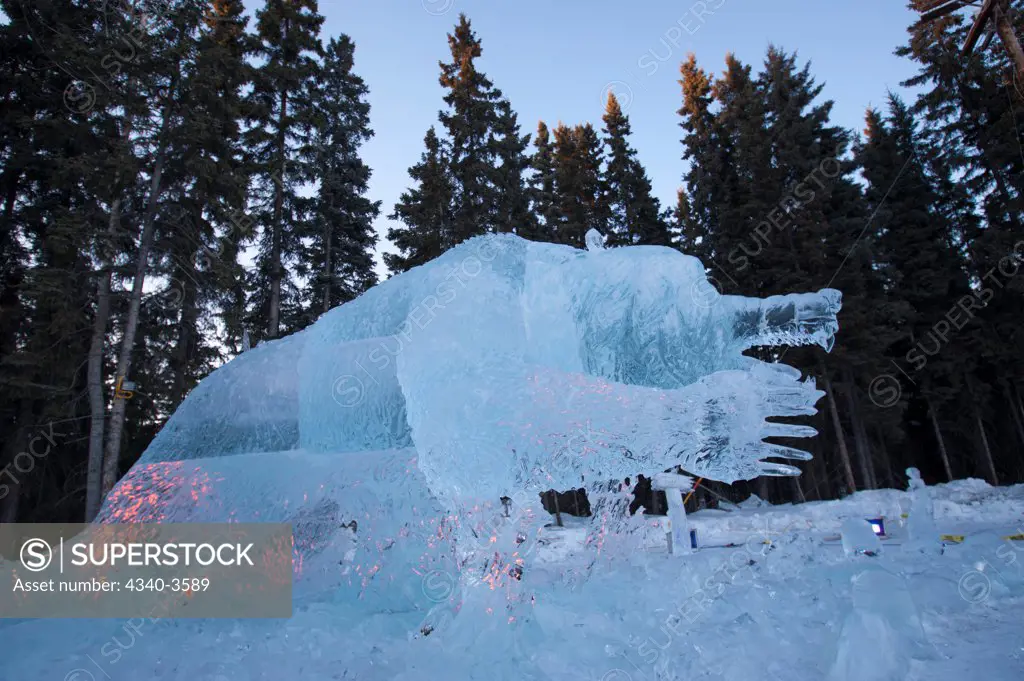 Alaska, Fairbanks, World Ice Art Championships, Grizzly bear ice carving on display, 2013