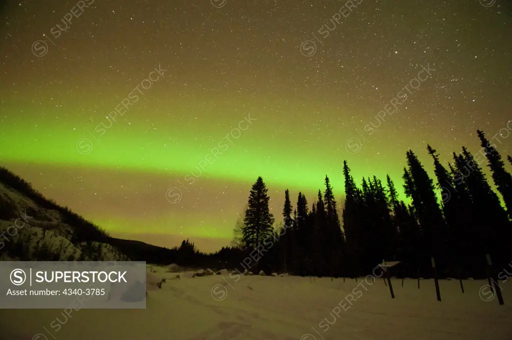 USA, Alaska, Recreational Area, Chena River State, Northern lights (Aurora borealis) glowing brightly over Chena River State