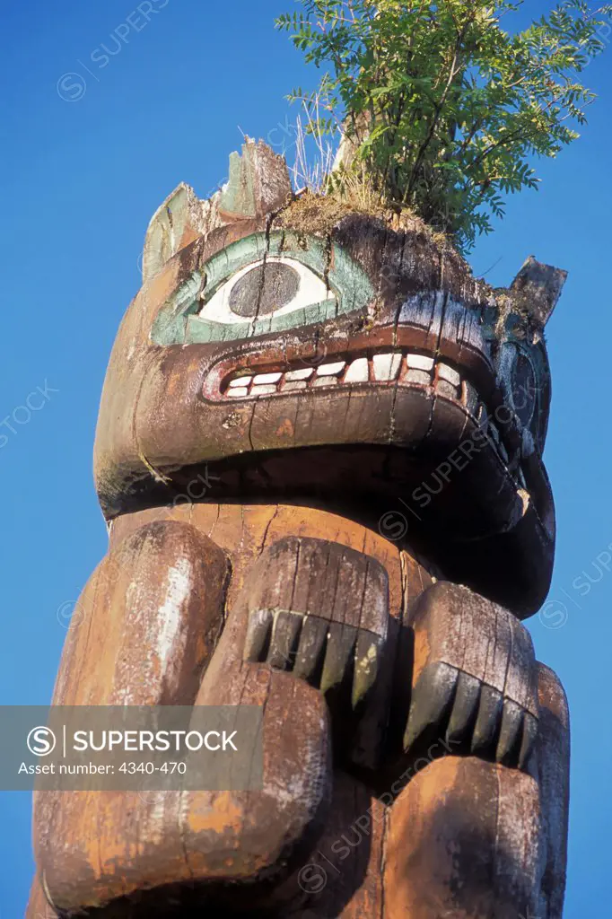 Bear Figure on a Totem Pole