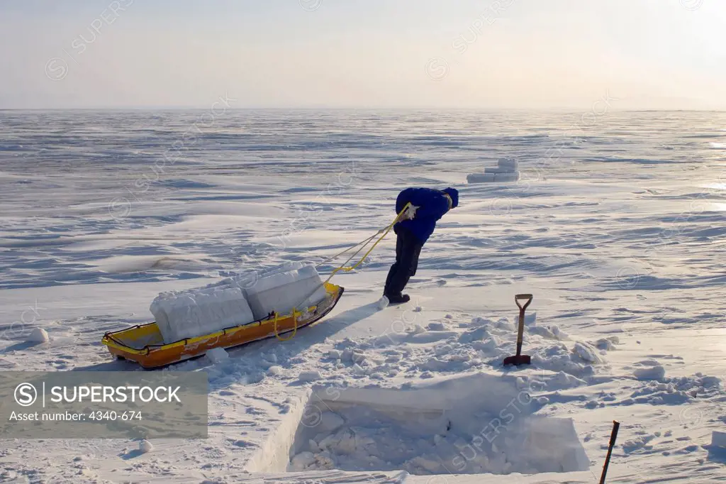 Inupiaq Man Hauls Blocks of Snow to Build an Igloo