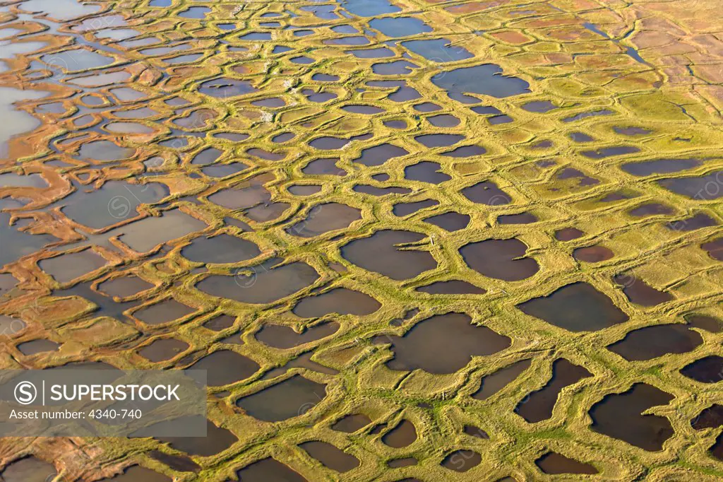 Tundra Landscape with Pattern of Polygon-Shaped Ponds