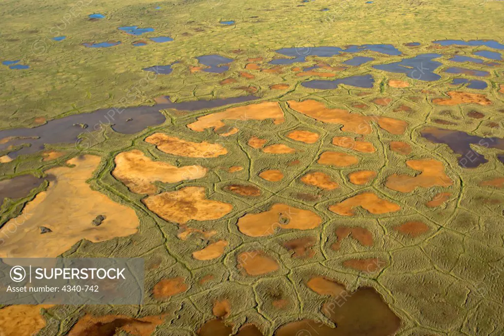 Tundra Landscape with Permafrost Polygon Shapes