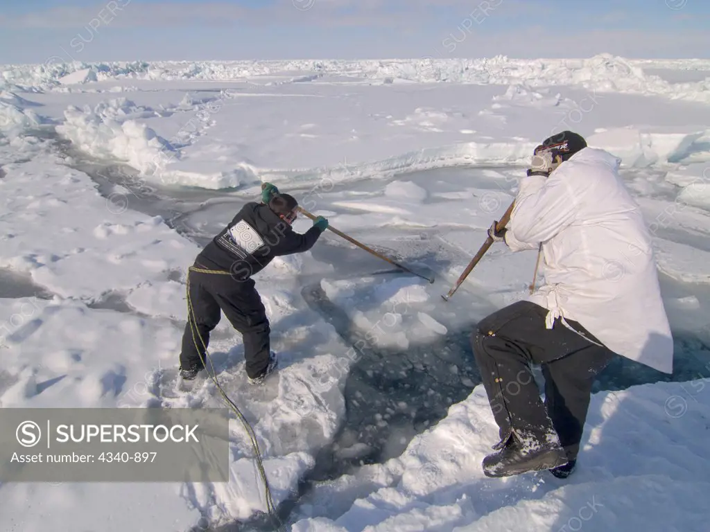 Inupiaq Hunters Open a Hole in the Pack Ice to Catch a Possible Seal