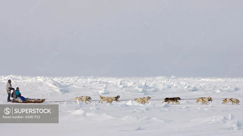 Dog Sled Team on the Pack Ice Over the Chukchi Sea