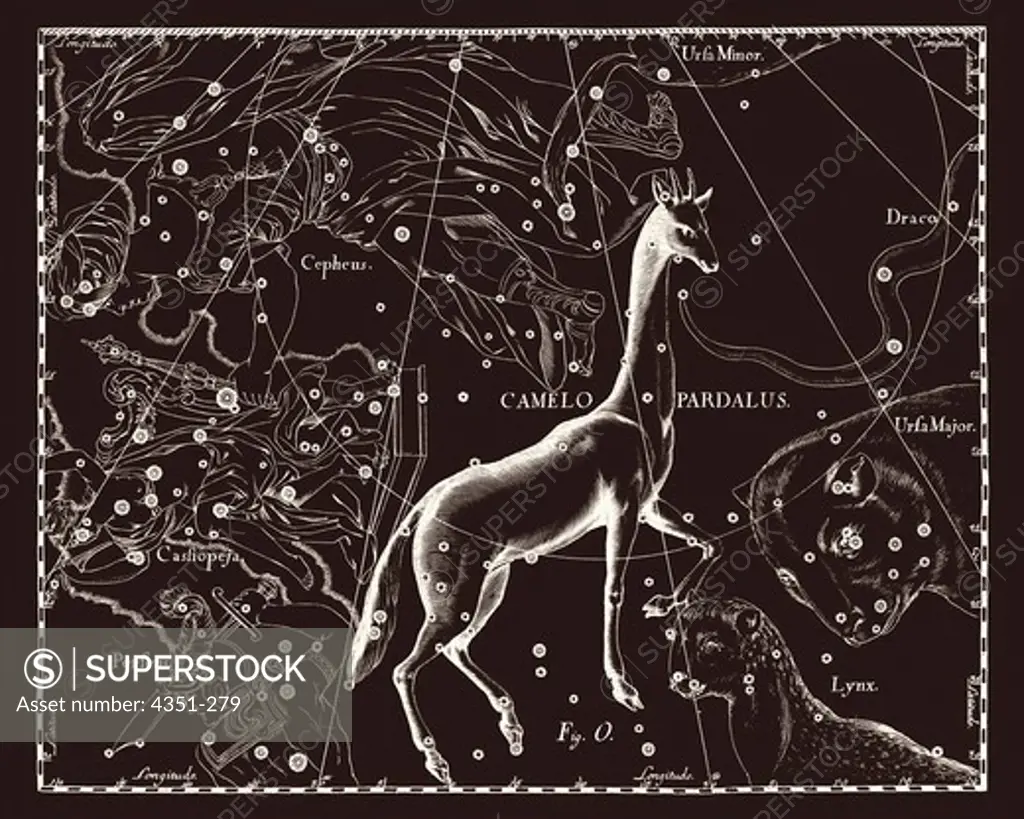 Constellation of Camelopardalus