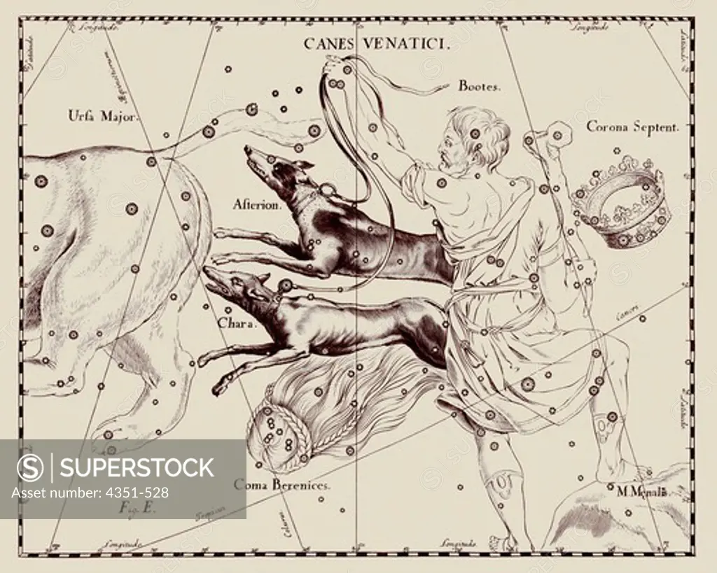 A representation of the constellation of Canes Venatici, the Hunting Dogs, from the 'Firmamentum Sobiescianum sive Uranographia' of Johannes Hevelius of Danzig (modern Gdansk), 1687.
