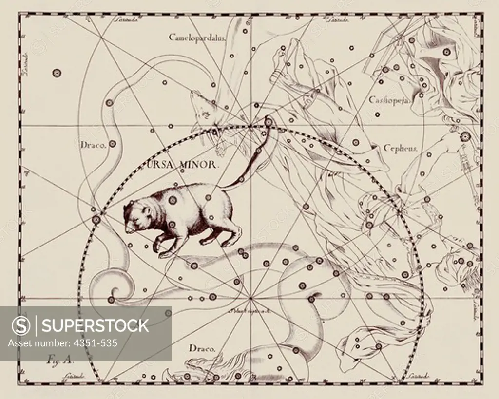 A representation of the constellation of Ursa Minor, the Little Bear, its tail nailed to Polaris, the North Star, from the 'Firmamentum Sobiescianum sive Uranographia' of Johannes Hevelius of Danzig (modern Gdansk), 1687.