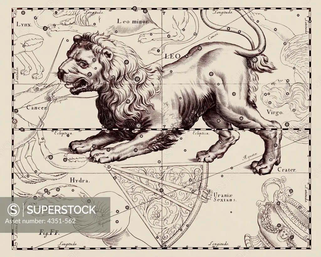 A representation of the Zodiacal constellation of Leo the Lion from the 'Firmamentum Sobiescianum sive Uranographia' of Johannes Hevelius of Danzig (modern Gdansk), 1687.