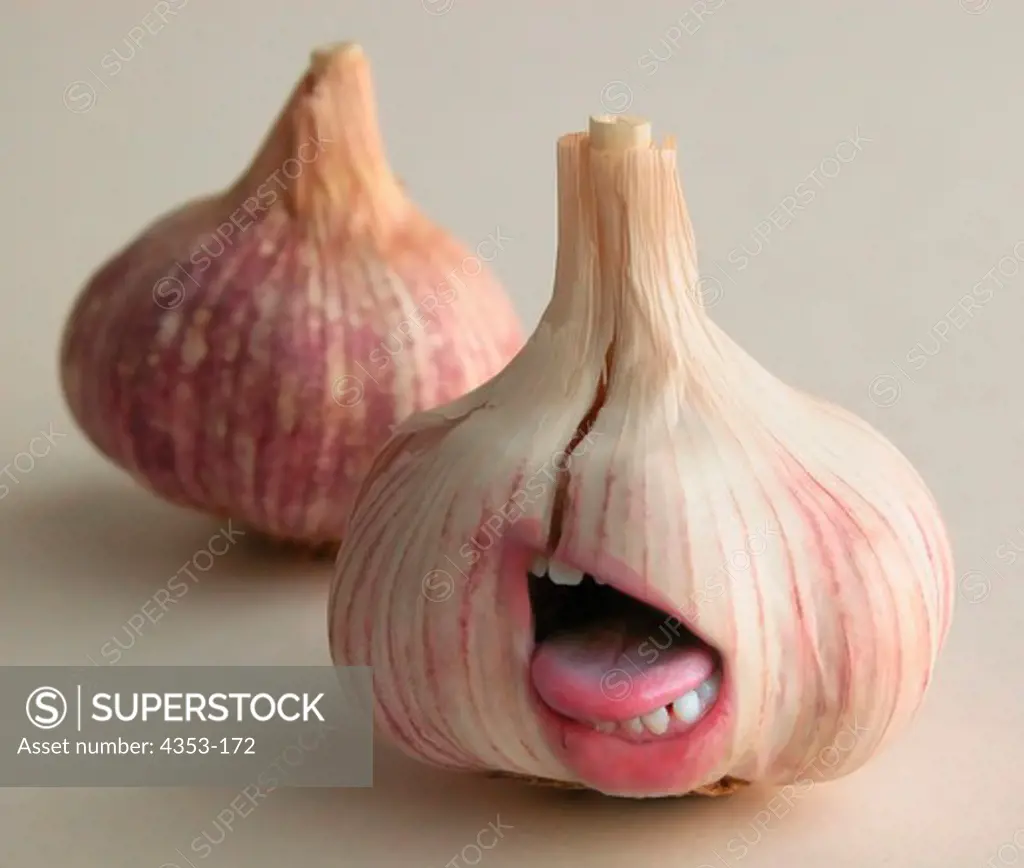 Obnoxious Onion