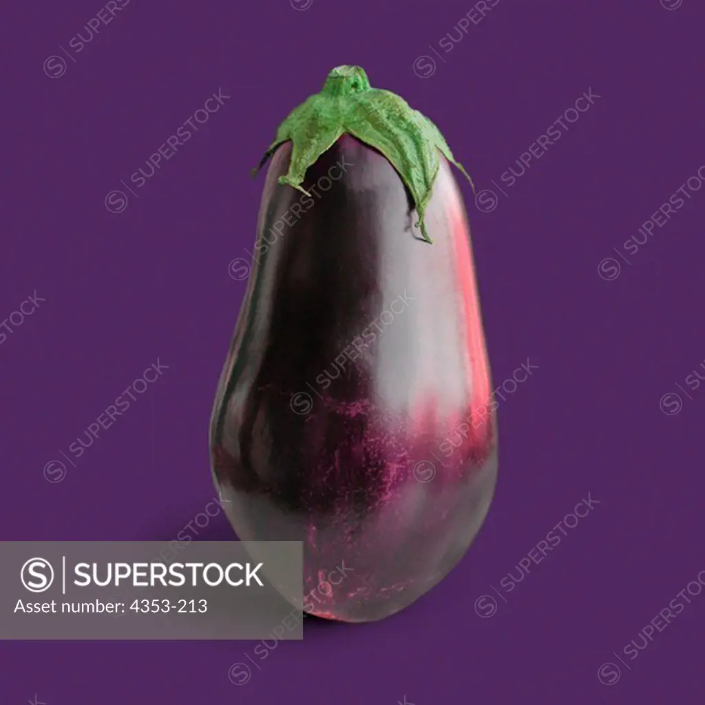 Vivid Purple Eggplant