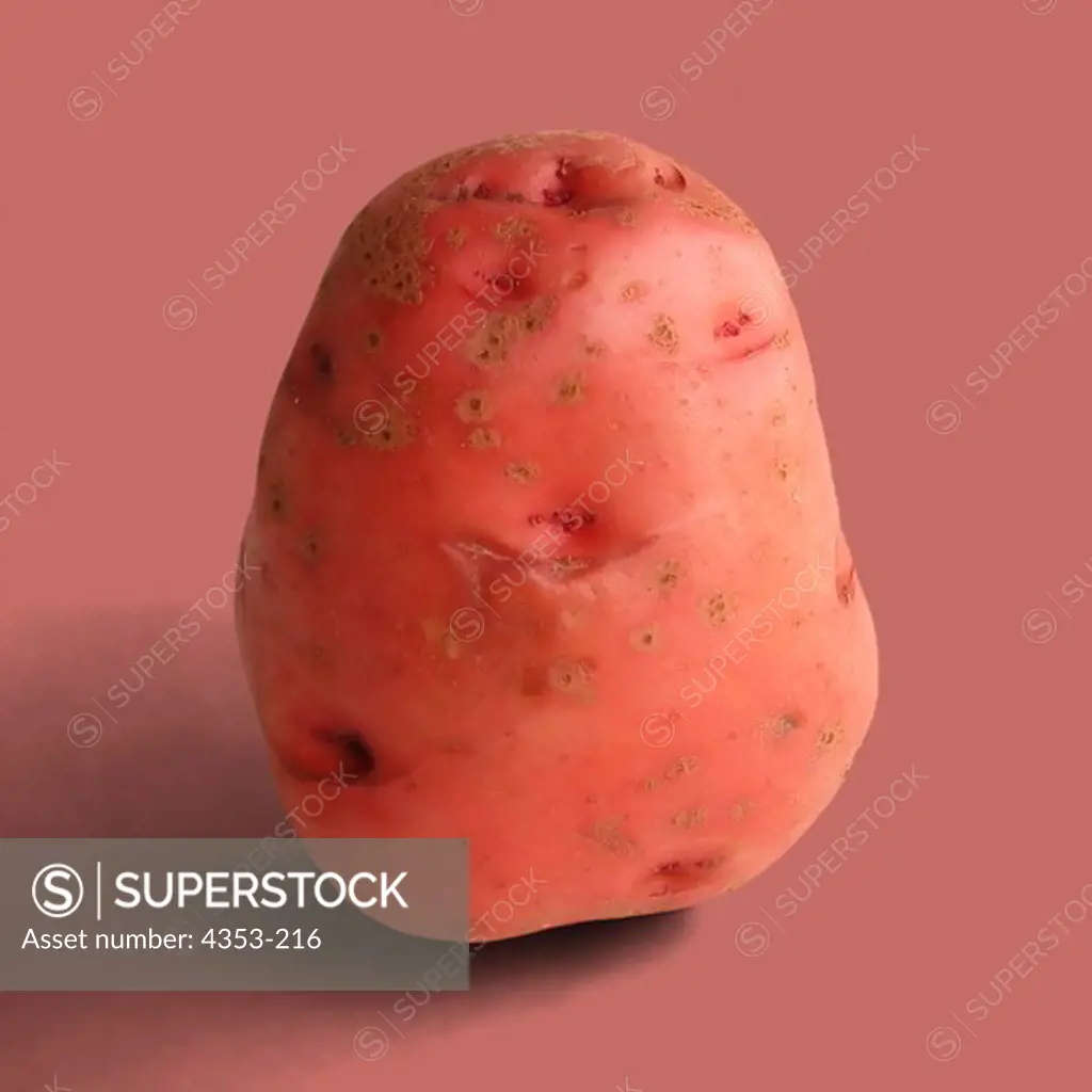 Vivid Pink Potato
