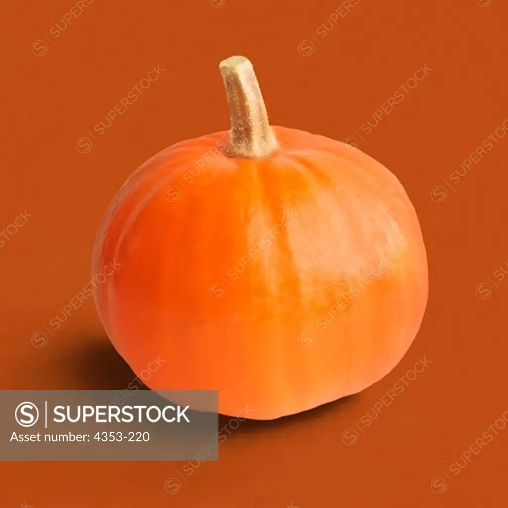Vivid Orange Pumpkin