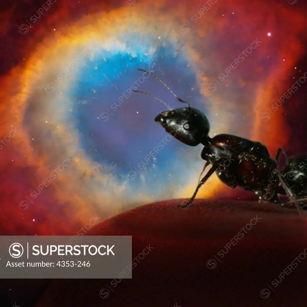 The Ant and the Nebula