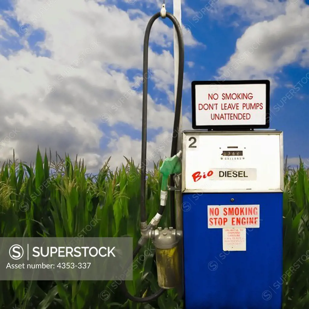 Biodiesel Pump in a Corn Field
