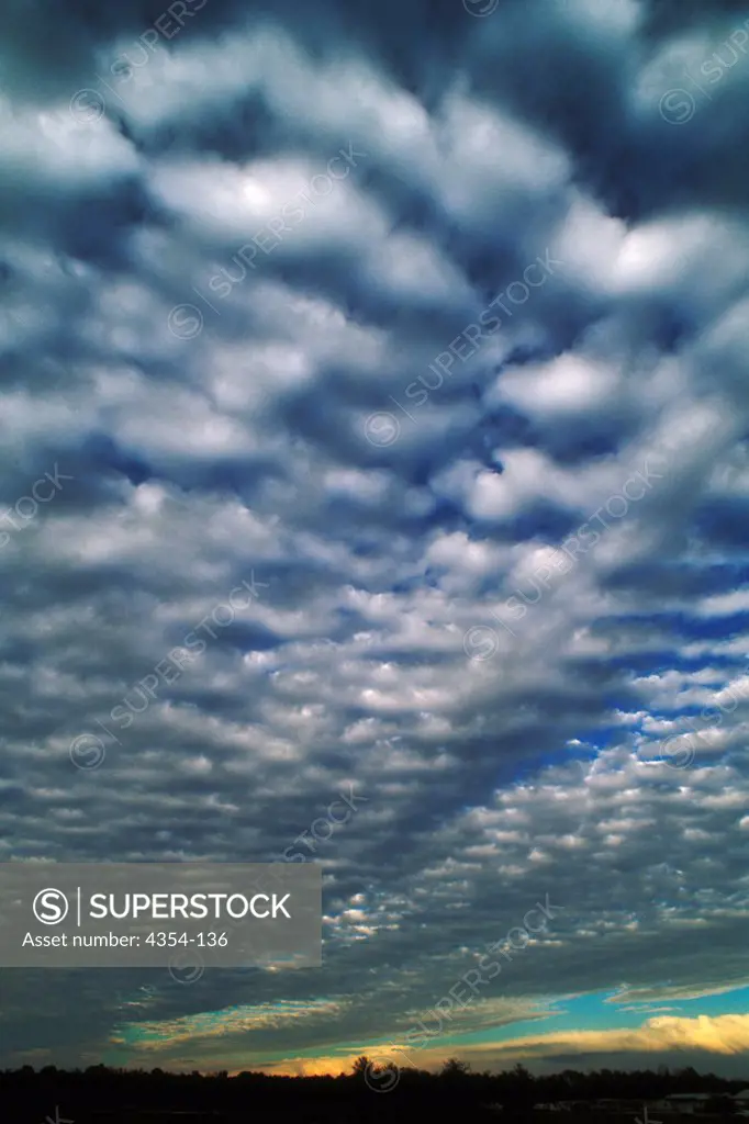 Altocumulus Undulatus Clouds Blanket the Sky