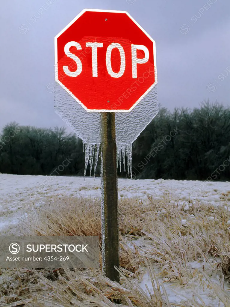 Icicles Dangle From a Stop Sign