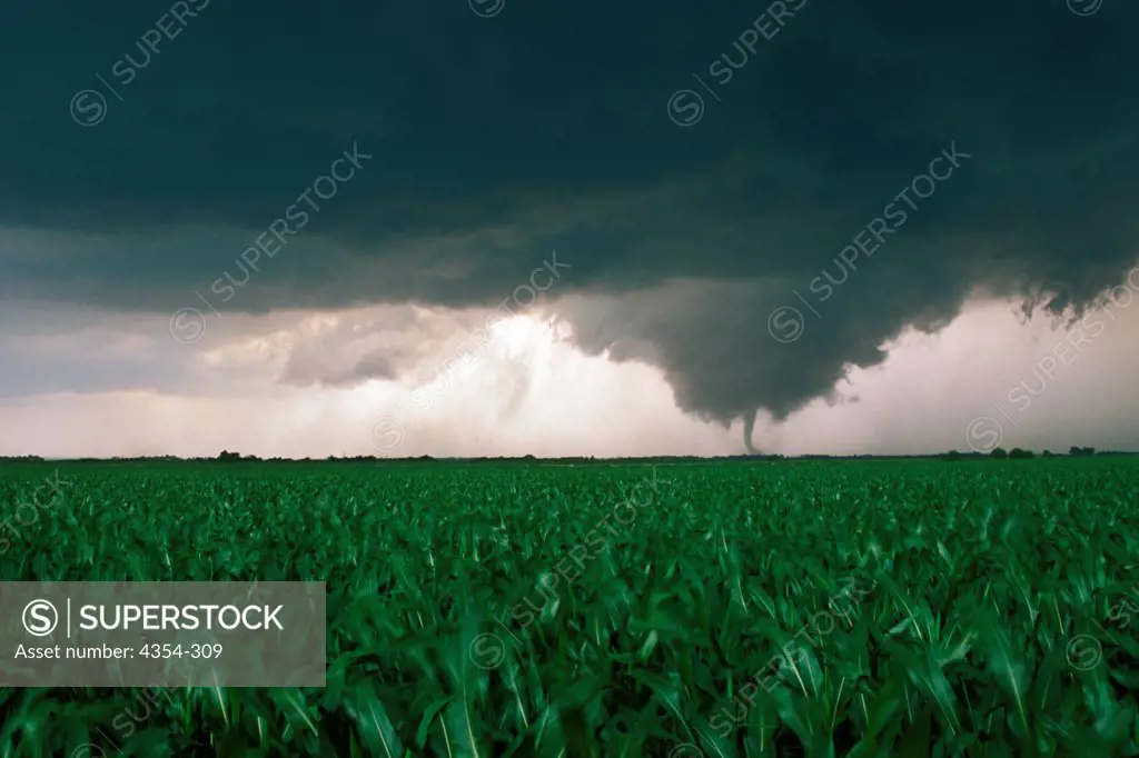 A Late Afternoon Tornado