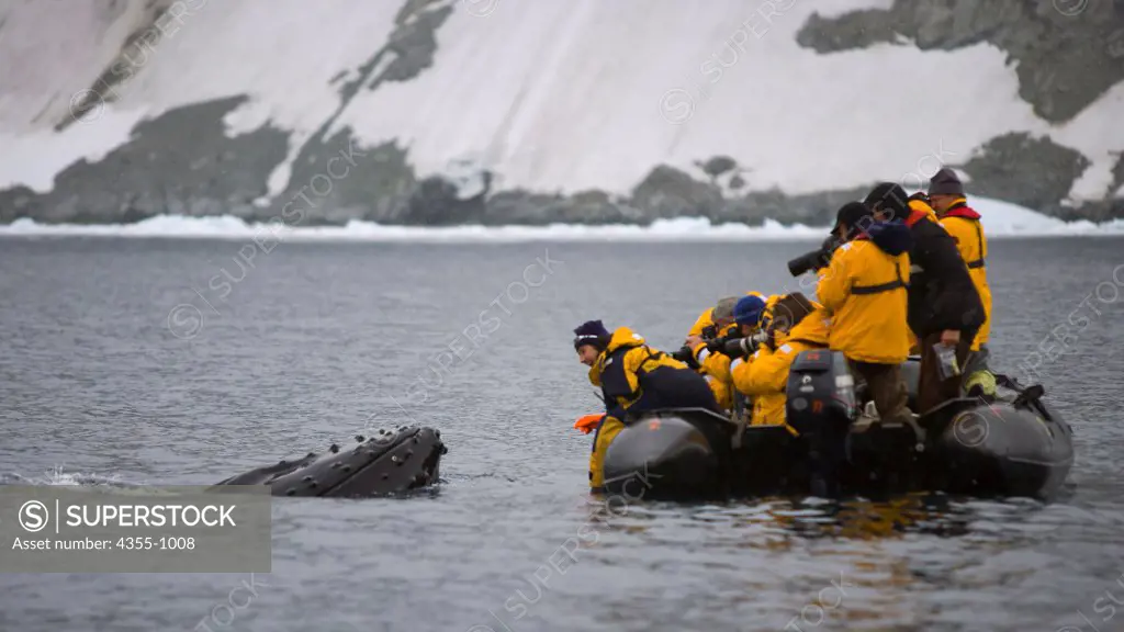 Humpback Whale encounter in Antarctica