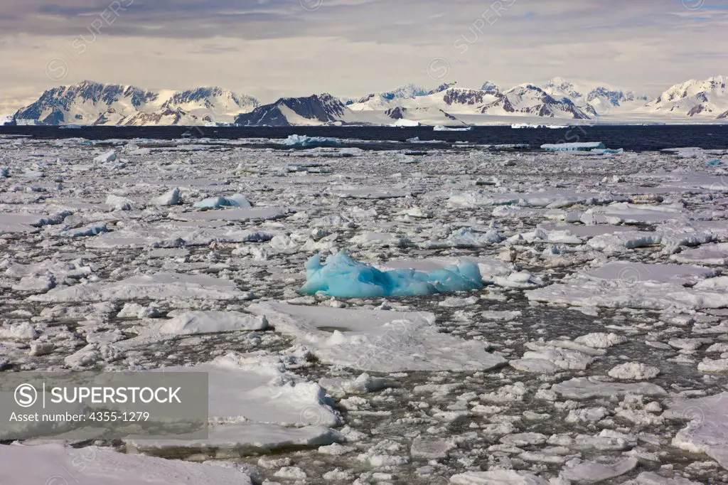 Blue Iceberg Amid Bergy Bits in Marguerite Bay