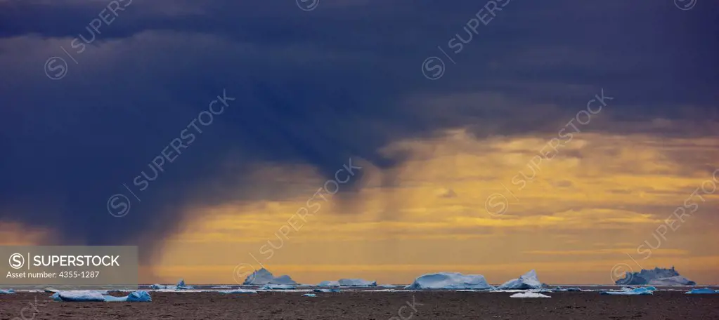 Icebergs in Marguerite Bay