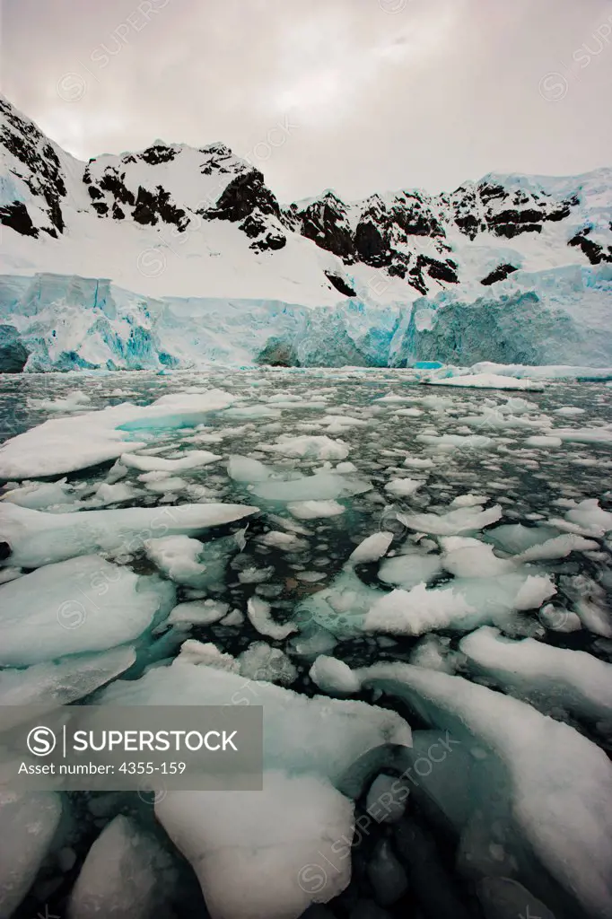 Chunks of Glacial Ice Fill Paradise Bay
