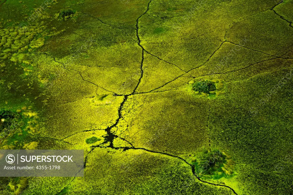 An aerial view of The Okavango Delta, in Botswana, the world's largest inland delta.