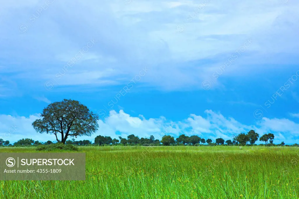 A thunderstorm moves across The Okavango Delta, in Botswana, the world's largest inland delta.