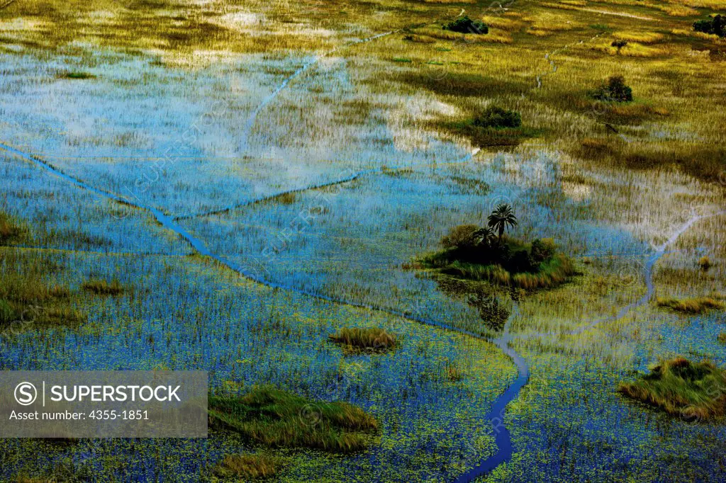 The Okavango Delta, in Botswana, is the world's largest inland delta.