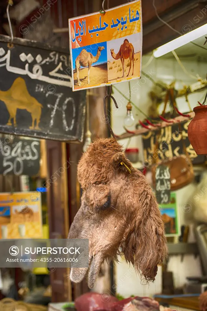 Camel head for sale in a meat market in Fes, Morocco